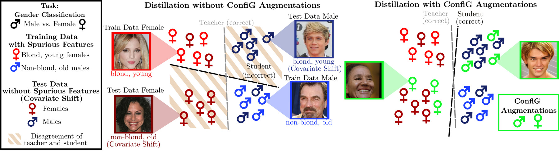 Overview of knowledge distillation under covariate shift with ConfiG data augmentations.