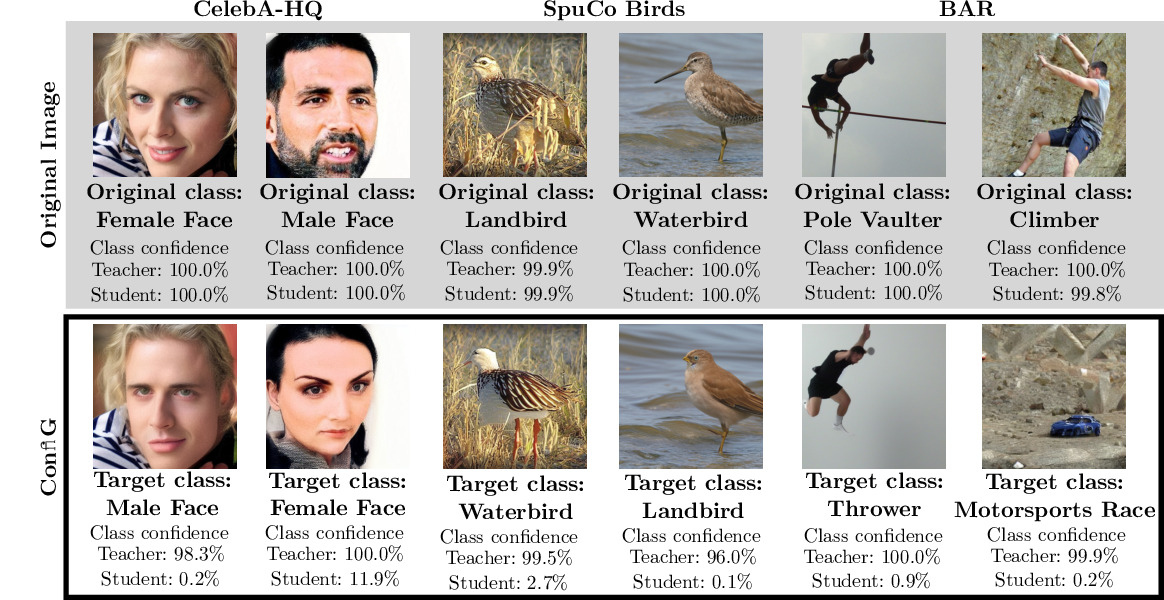 Qualitative examples of ConfiG augmentations on CelebA-HQ, SpuCo Birds and BAR.